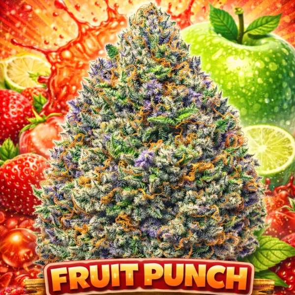 Fruit Punch Cannabis Seeds by Eternal Cultivars