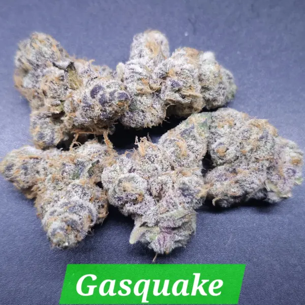 Gasquake Cannabis Seeds by In House Genetics