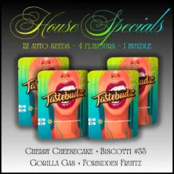 House Specials Auto Mix Cannabis Seeds by Tastebudz