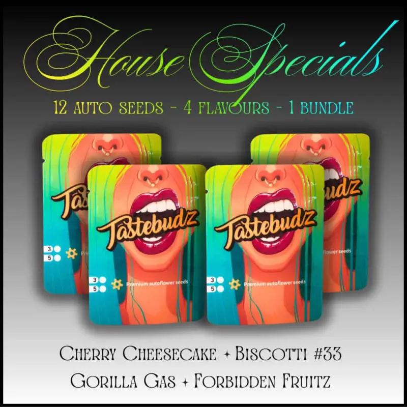House Specials Auto Mix Cannabis Seeds by Tastebudz