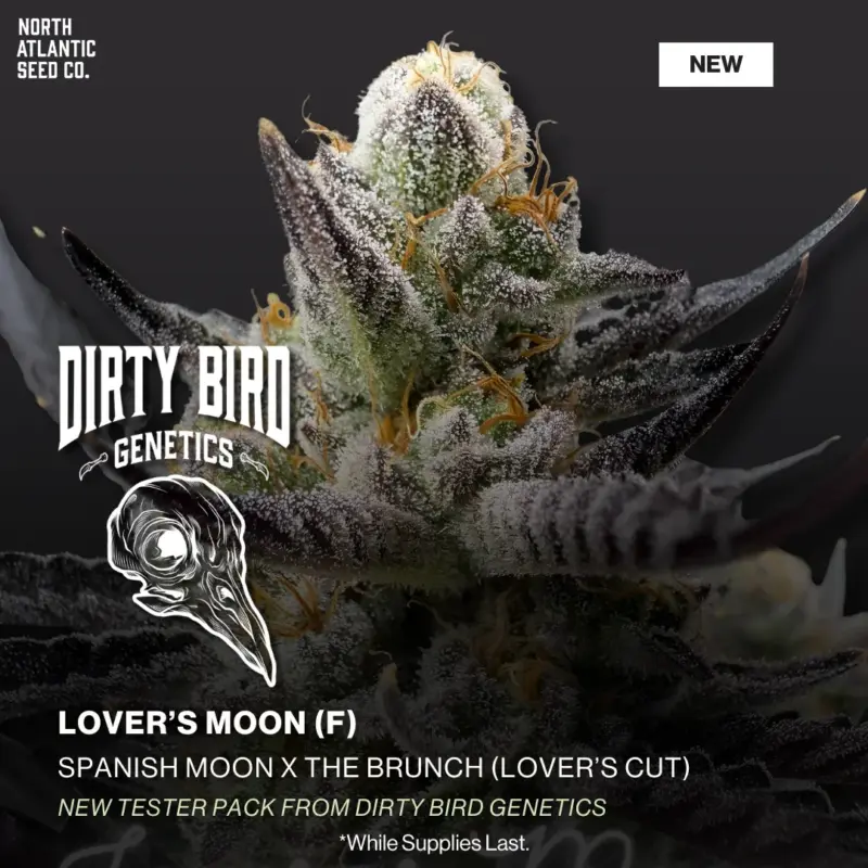 Dirty Bird Genetics - Testers