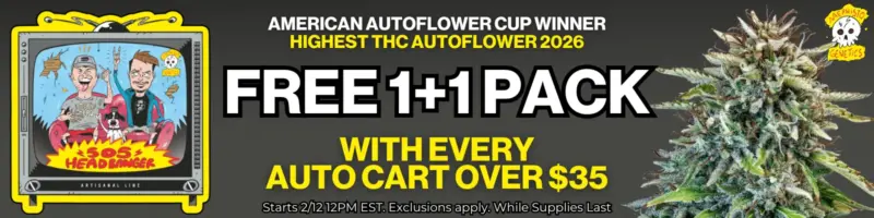 Mephisto 505 Headbanger Sitewide Special Banner