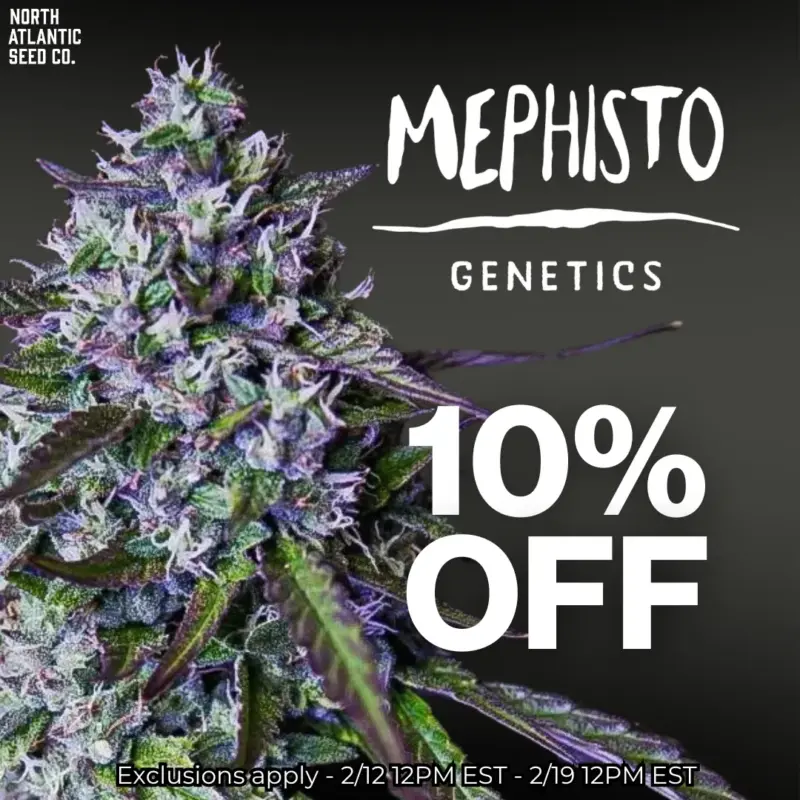 Mephisto Genetics Autos Image