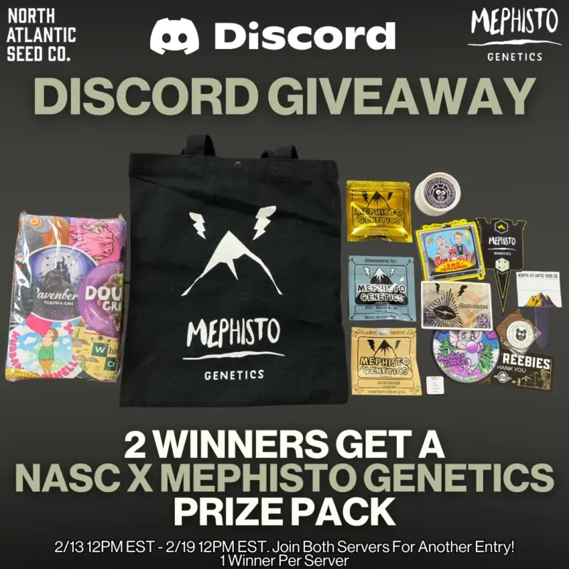 Mephisto Discord Giveaway