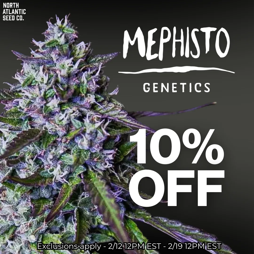 Mephisto Genetics Autos