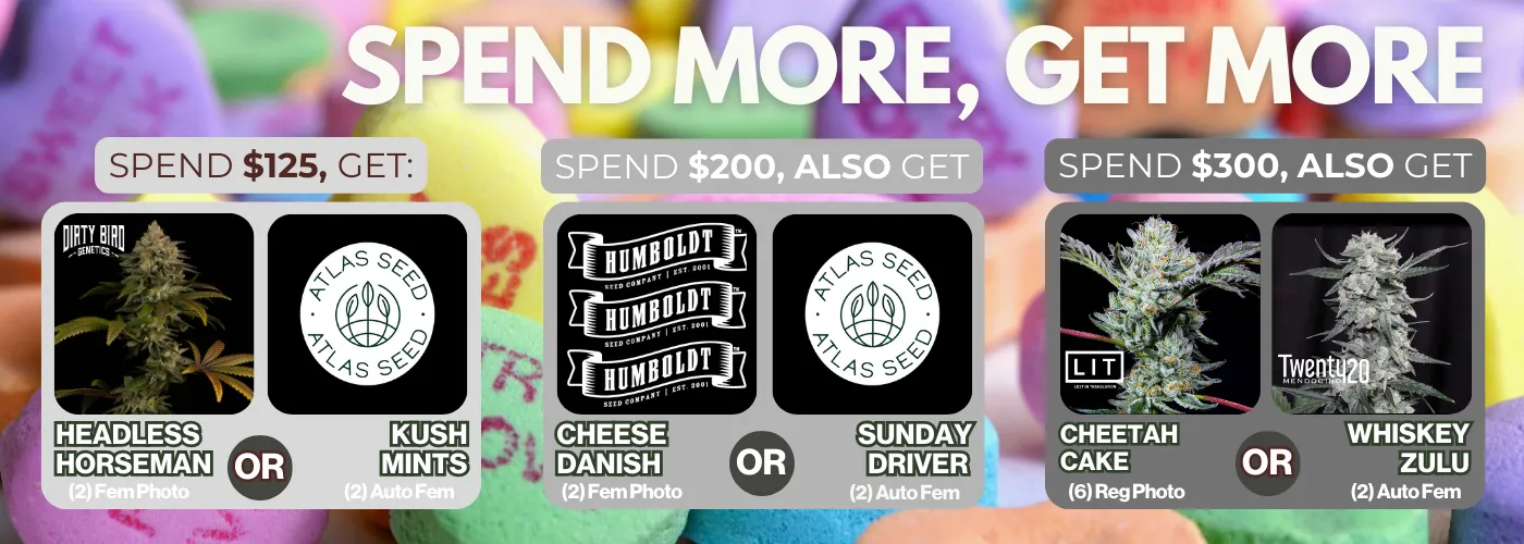 SMGM February 11 2026