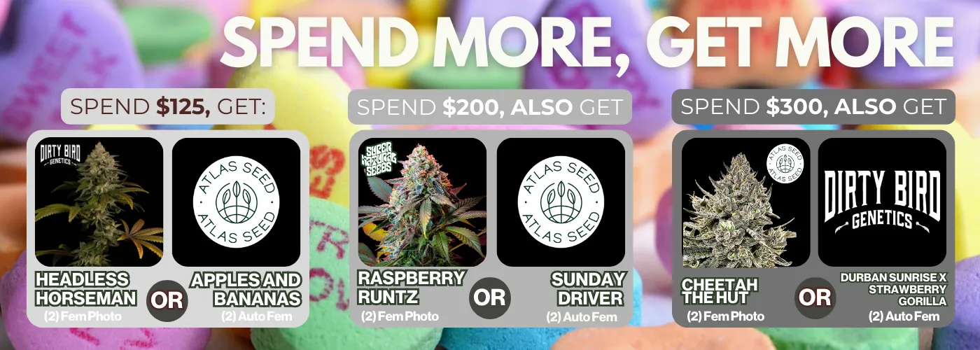 Spend More Get More February 2026