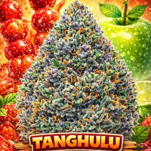 Tanghulu Cannabis Seeds by Eternal Cultivars