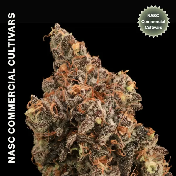 Tropix F1 FAST Cannabis Seeds by NASC Commercial Cultivars