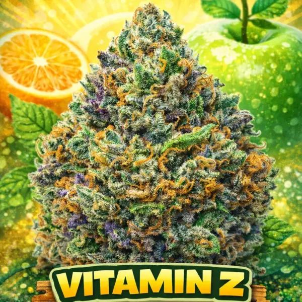 Vitamin Z Cannabis Seeds by Eternal Cultivars
