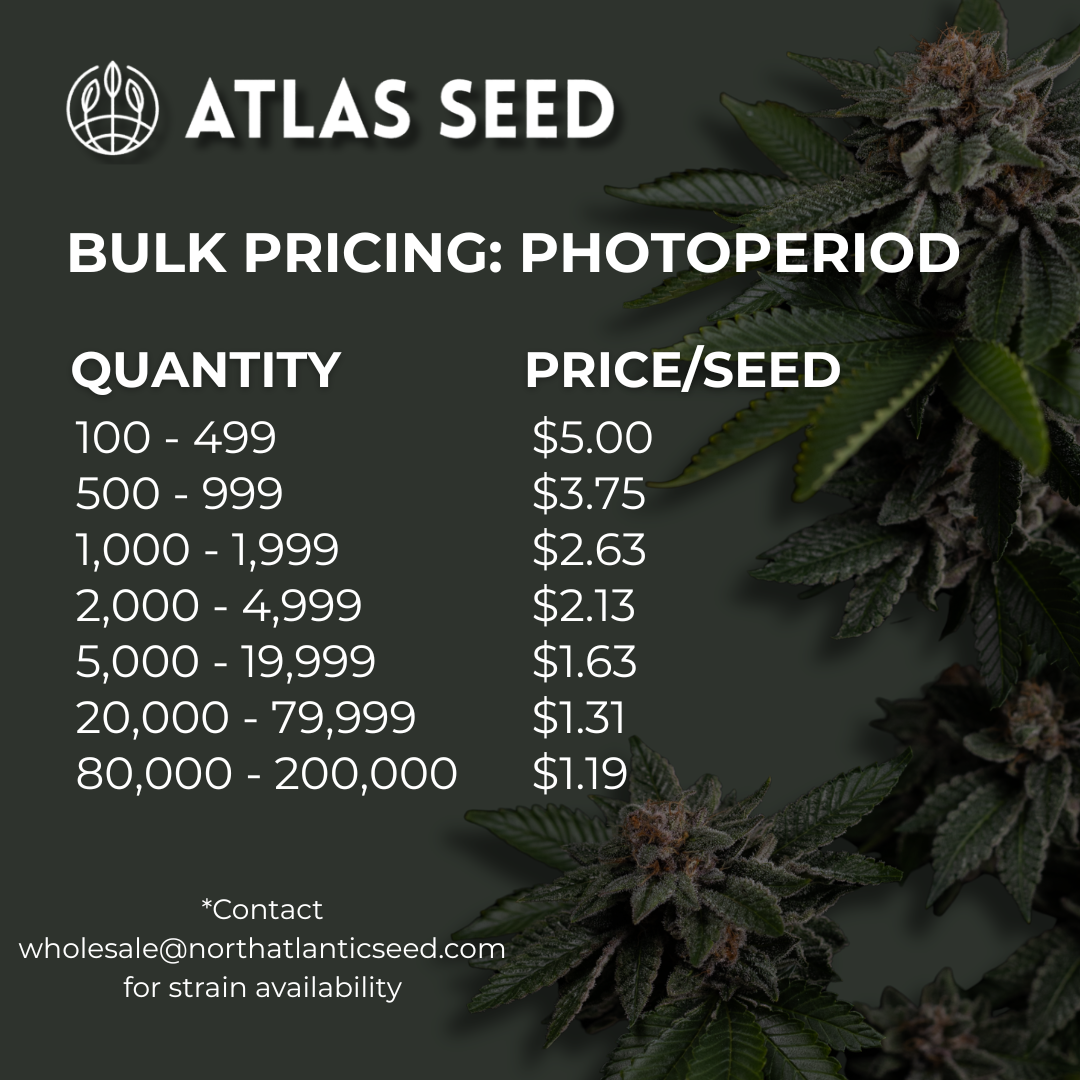 Atlas Seed Bulk