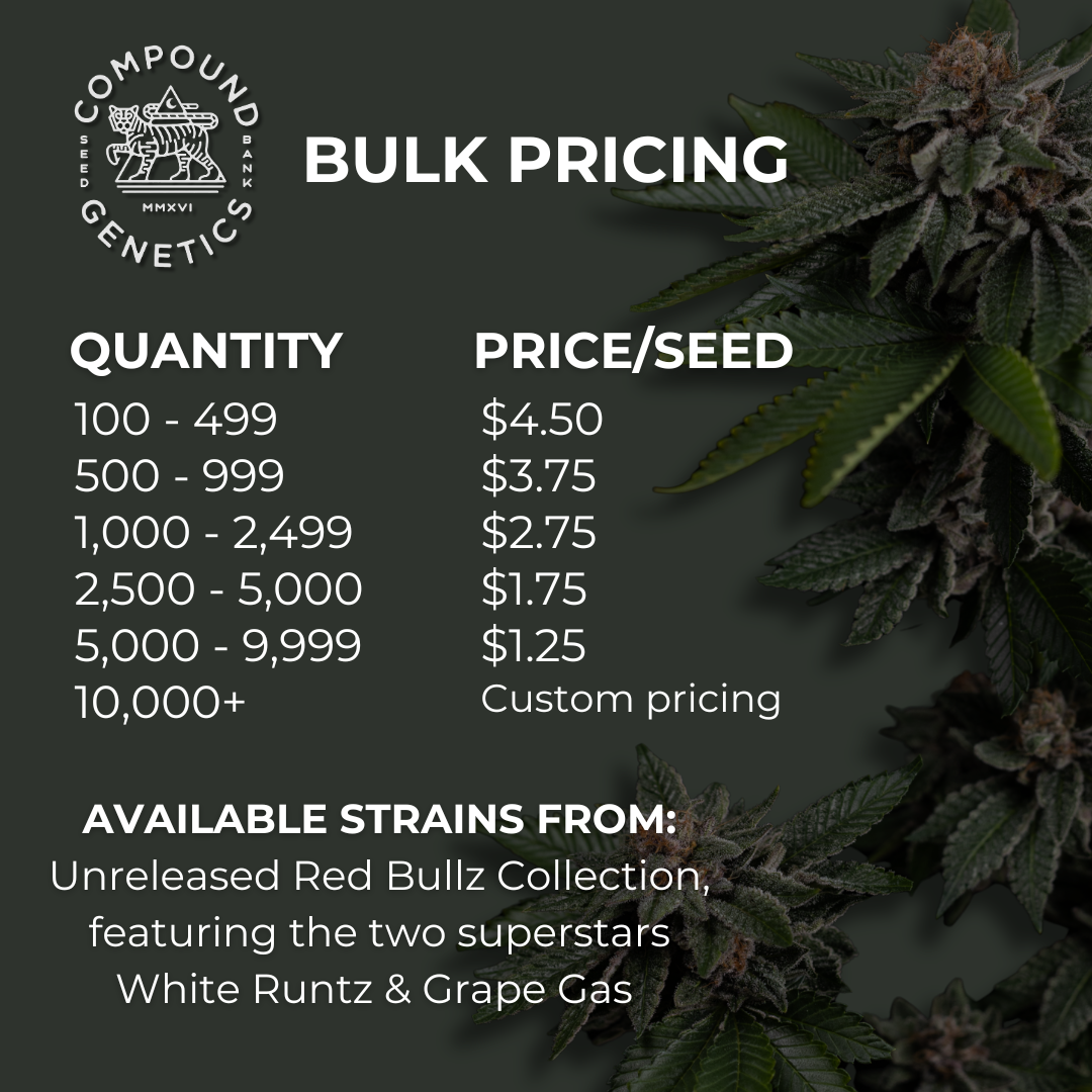 Emerald Runtz x Red Bullz (F) (Wholesale Bulk)