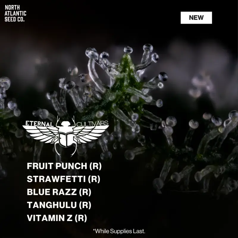 Eternal Cultivars New Drop 2026