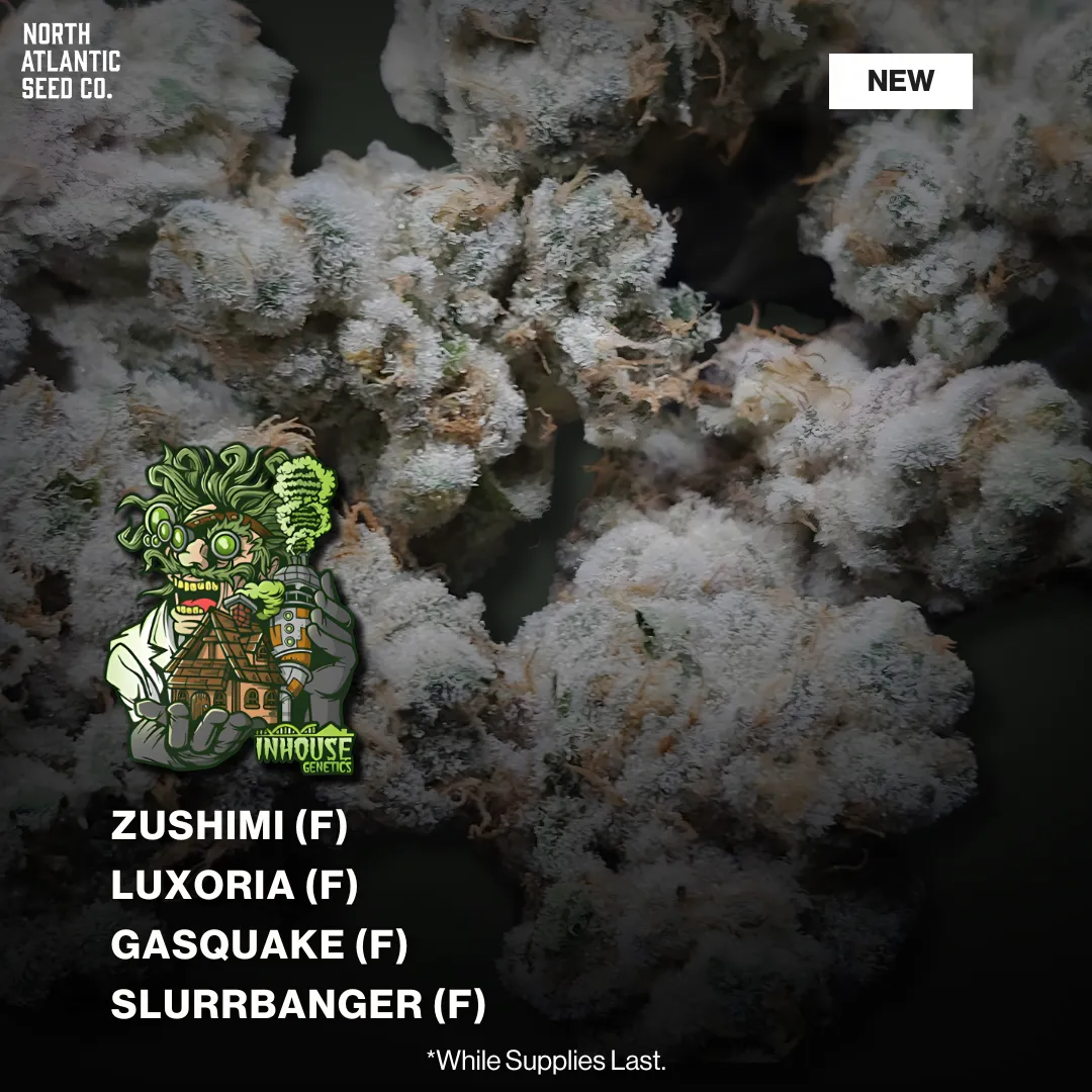 In House Genetics February 2026 Drop