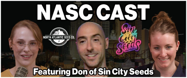 blog nasc cast sin city image
