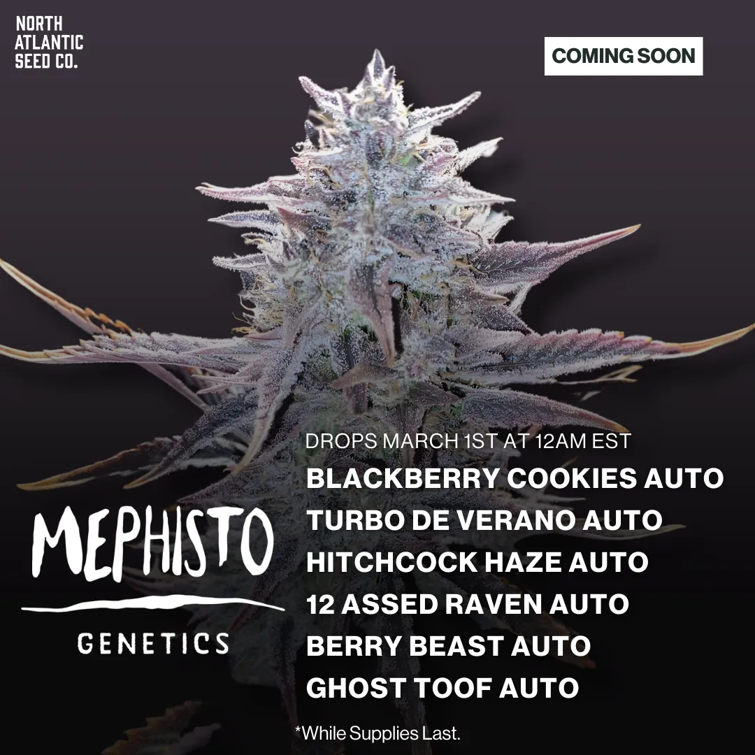 Mephisto Genetics March 2026 Drop