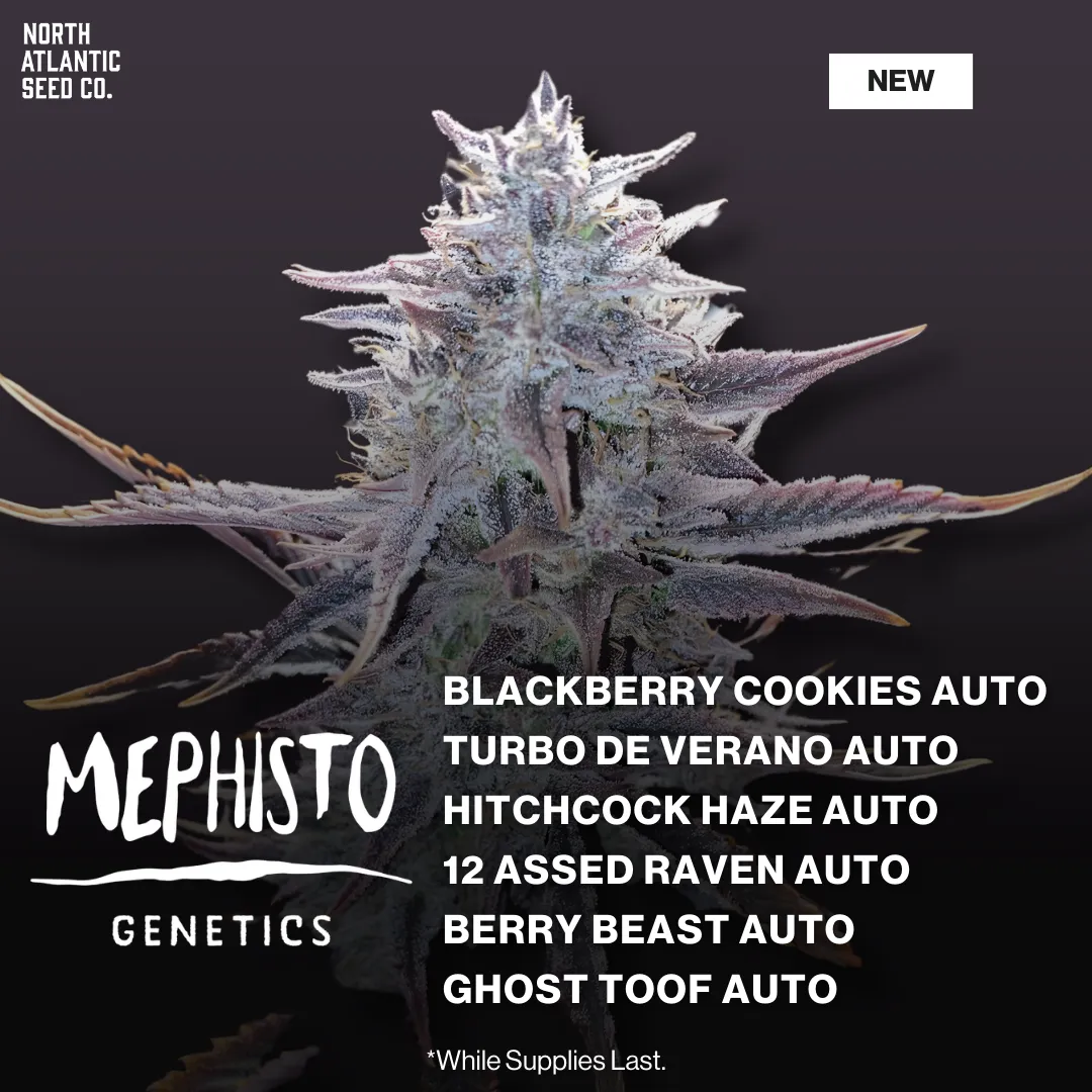Mephisto Genetics March 2026 Drop