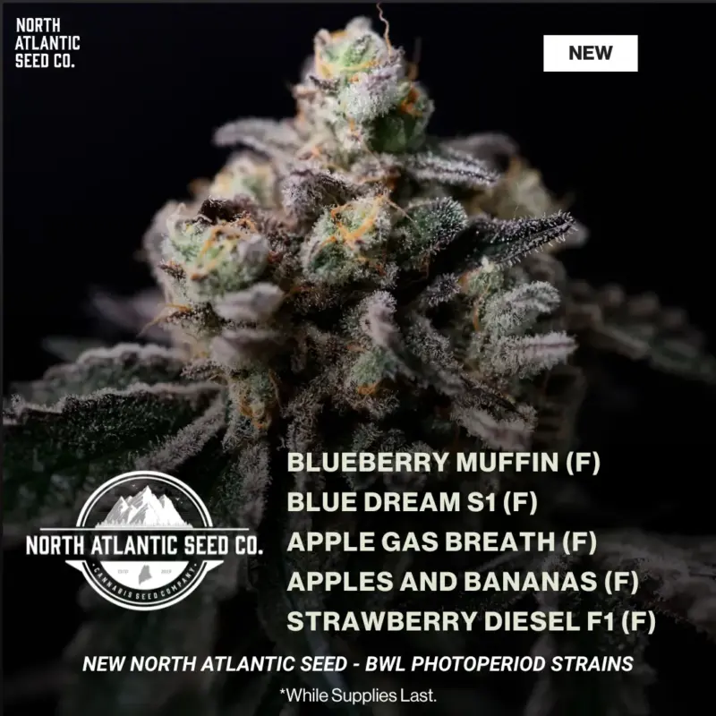 NASC - BWL - Photoperiod