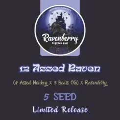 12 Assed Raven Auto Cannabis Seeds by Mephisto Genetics