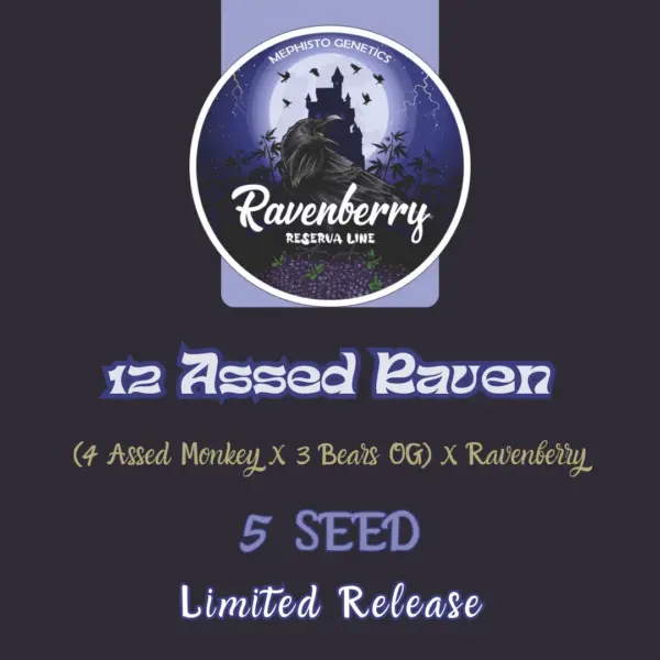 12 Assed Raven Auto Cannabis Seeds by Mephisto Genetics