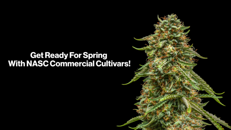 Get Ready For Spring With NASC Commercial Cultivars!