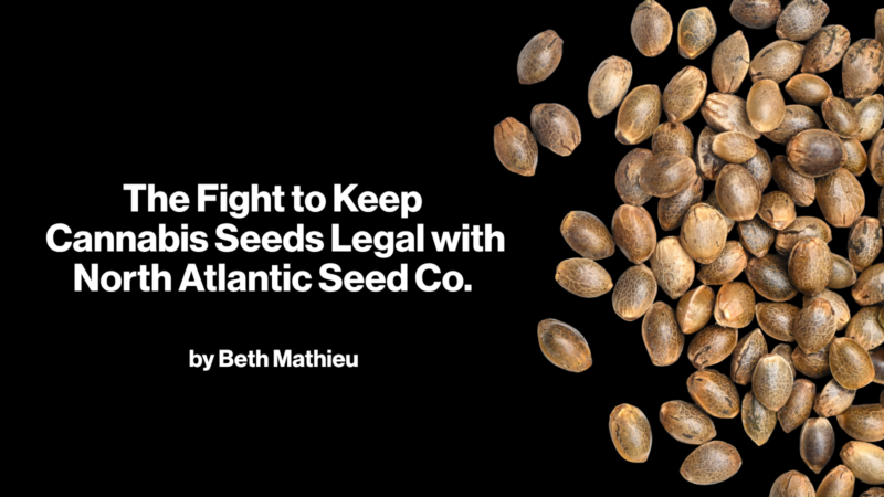The Fight to Keep Cannabis Seeds Legal with North Atlantic Seed Co. by Beth Mathieu