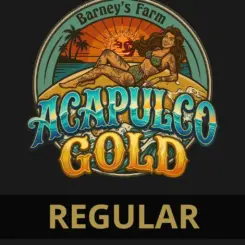 Acapulco Gold Cannabis Seeds by Barney's Farm