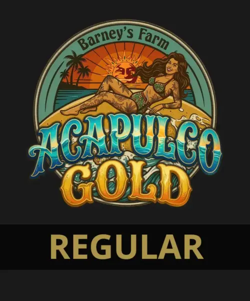 Acapulco Gold Cannabis Seeds by Barney's Farm