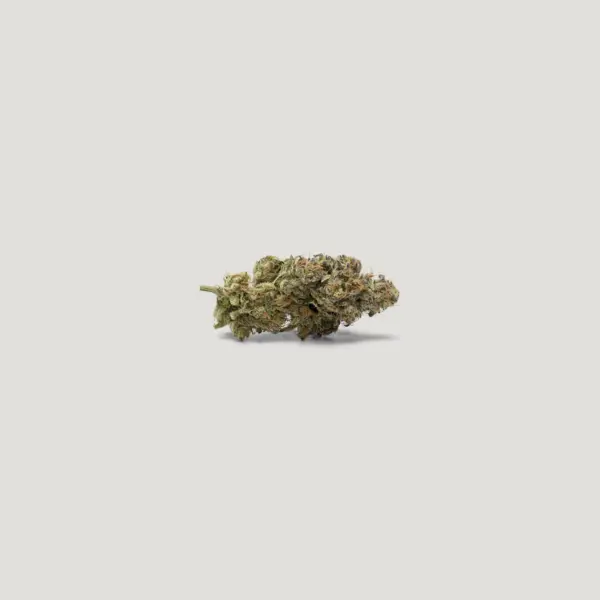 Afghani Apricot Cannabis Seeds by Purple City Genetics