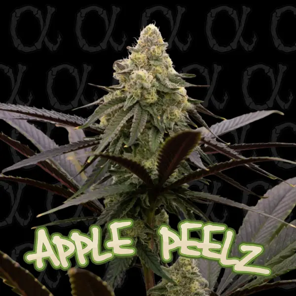 Apple Peelz Cannabis Seeds by Dirty Bird Genetics