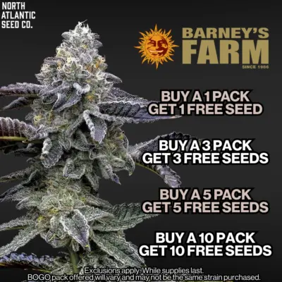 Barney's Farm