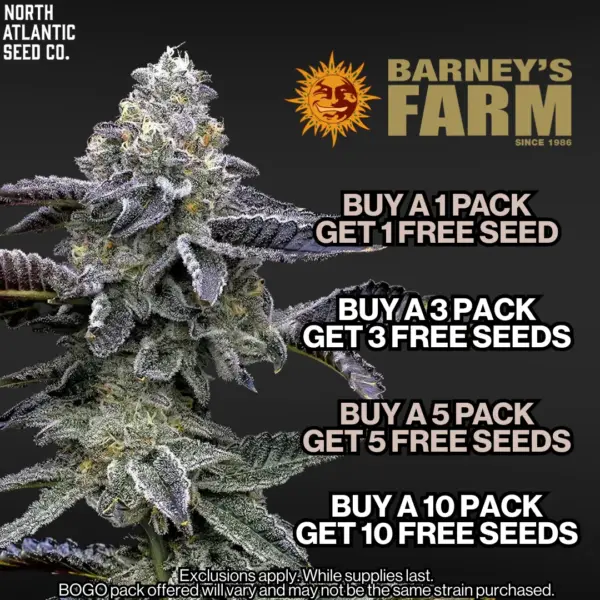 Barney's Farm