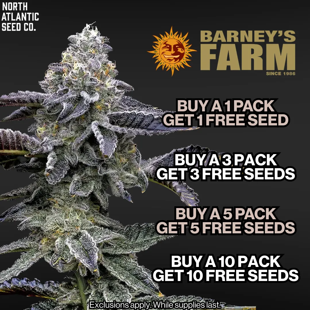 Barney's Farm