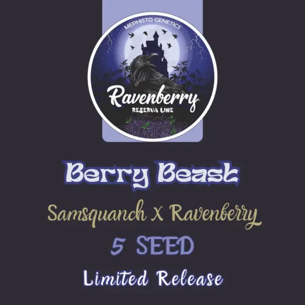 Berry Beast Auto Cannabis Seeds by Mephisto Genetics