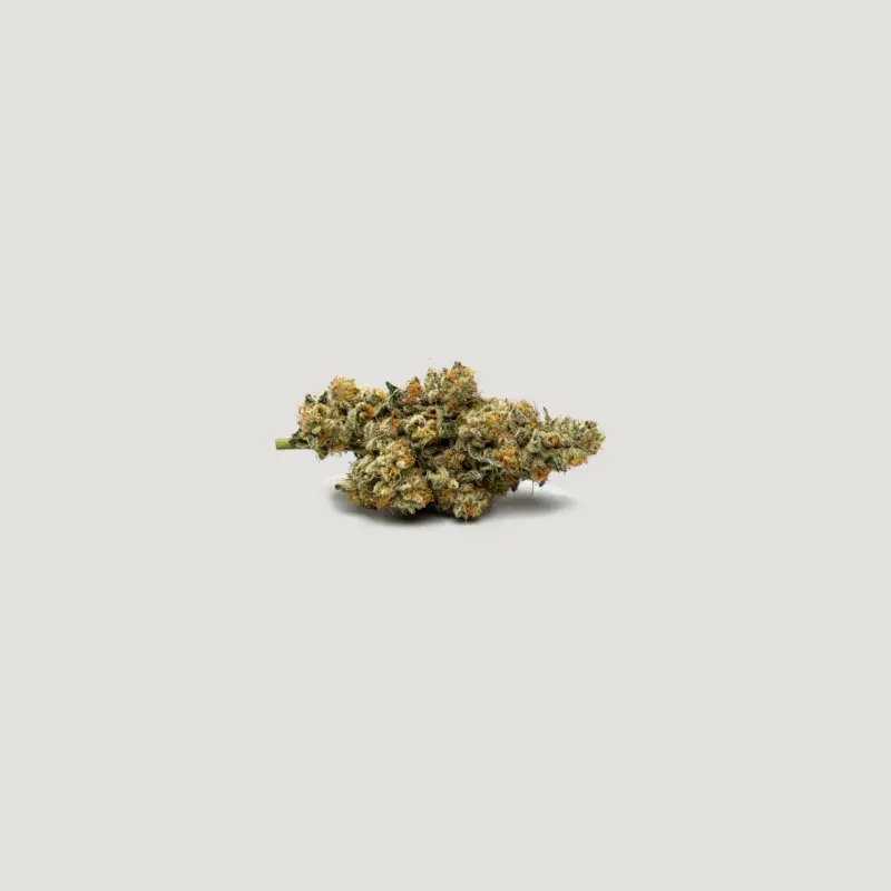 Betty Ford Cannabis Seeds by Purple City Genetics