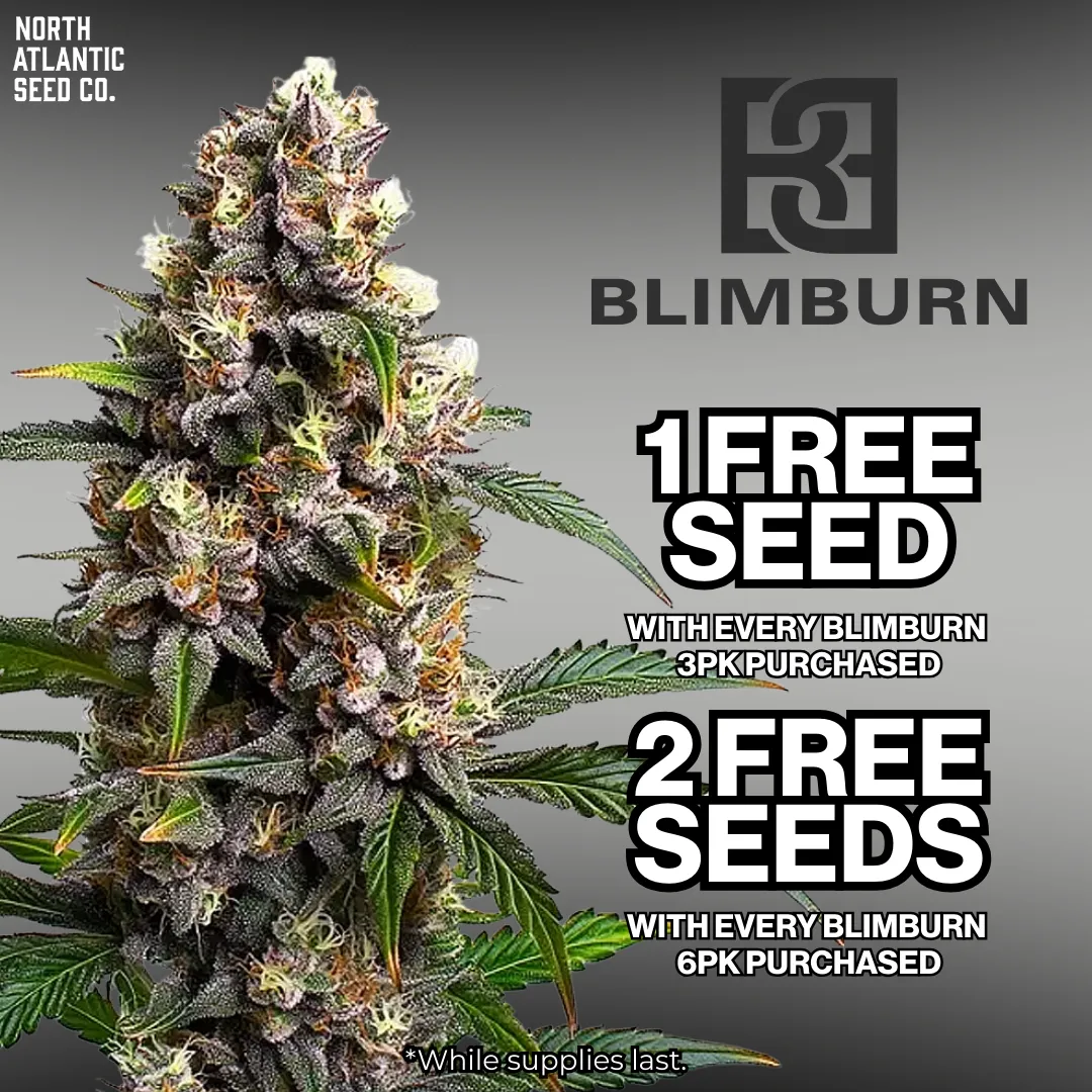 Blimburn Seeds