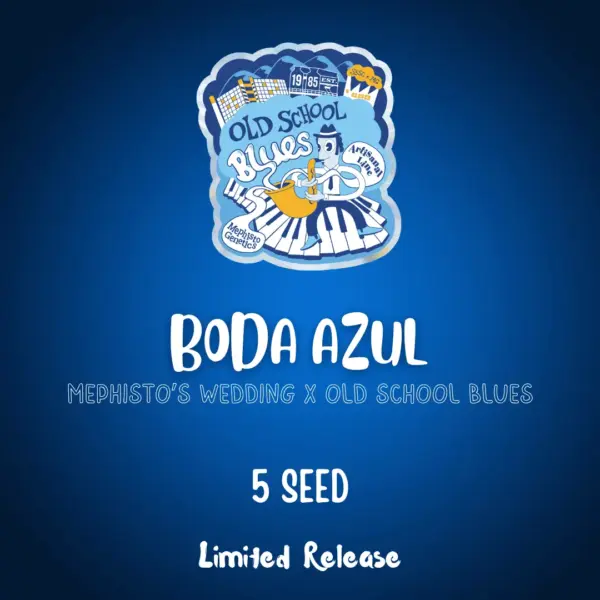 Boda Azul Cannabis Seeds by Mephisto Genetics