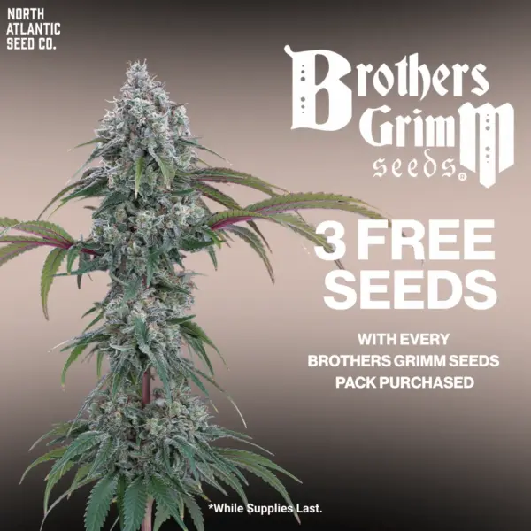 Brothers Grimm Seeds