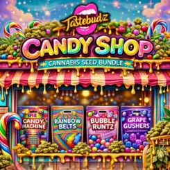Candy Shop Bundle Cannabis Seeds by Tastebudz