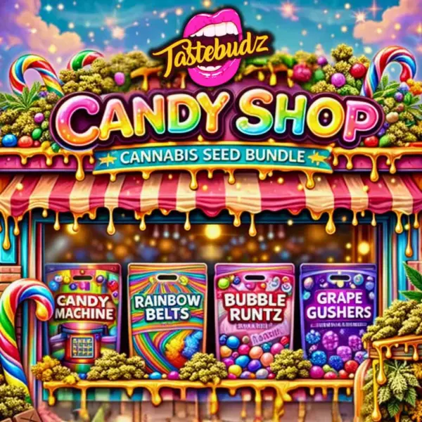 Candy Shop Bundle Cannabis Seeds by Tastebudz