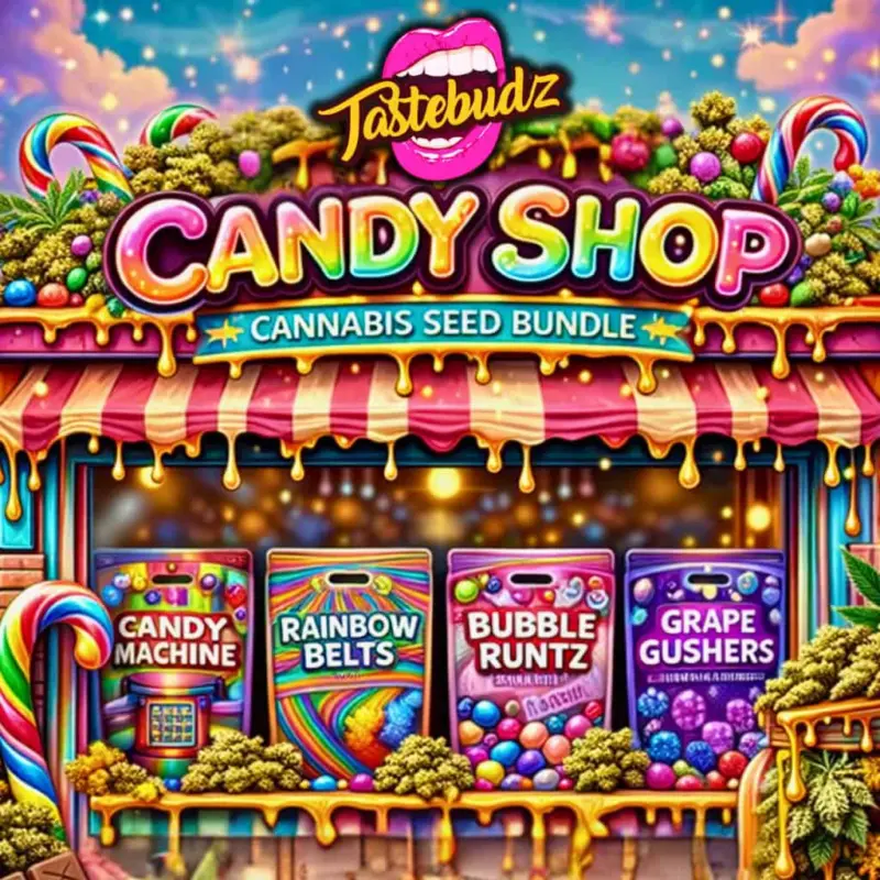 Candy Shop Bundle Cannabis Seeds by Tastebudz