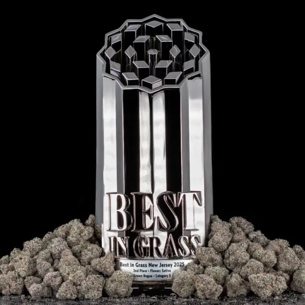 Category 5 Cannabis Seeds by Offensive Selections