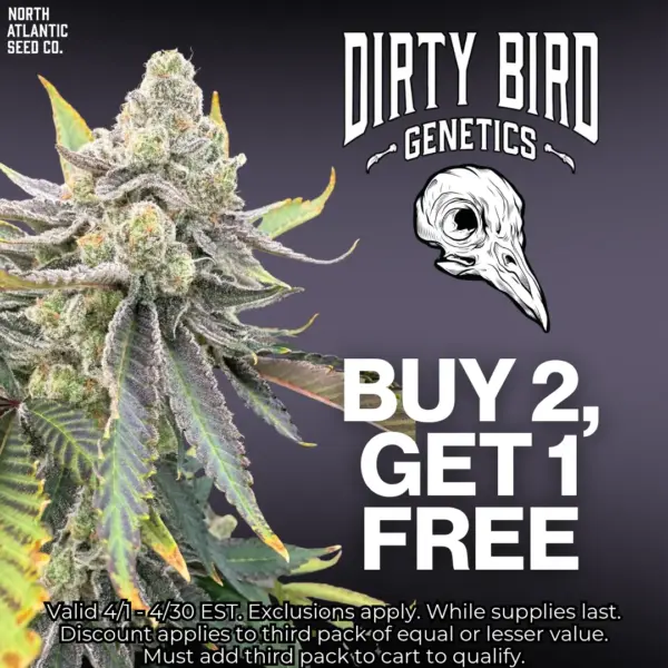 Dirty Bird Genetics