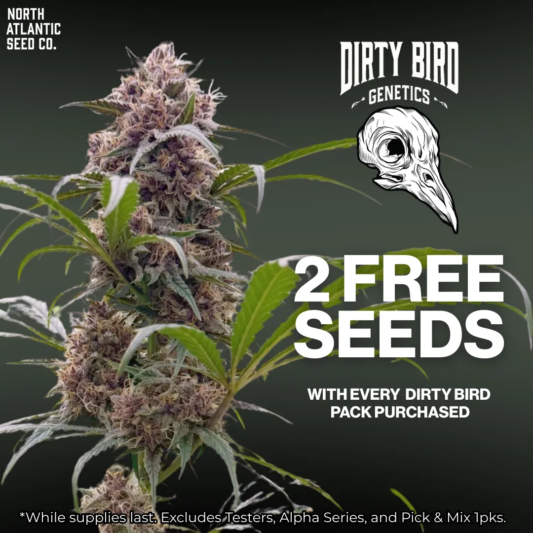 Dirty Bird Genetics