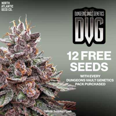 Dungeons Vault Genetics