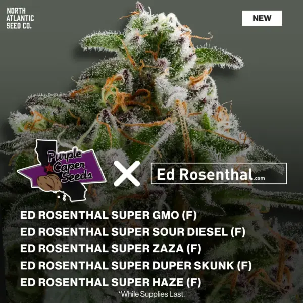 Ed Rosenthal Exclusives