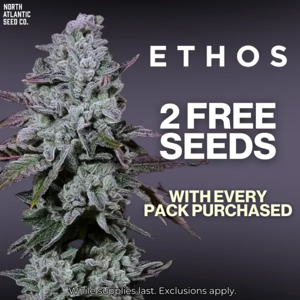 Ethos Genetics