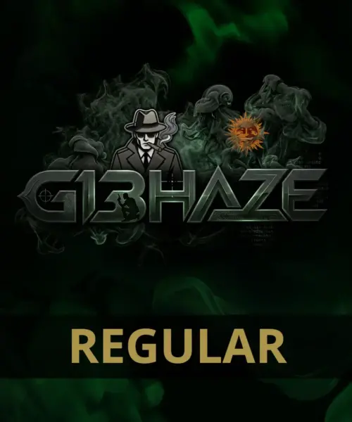 G13 Haze Cannabis Seeds by Barney's Farm