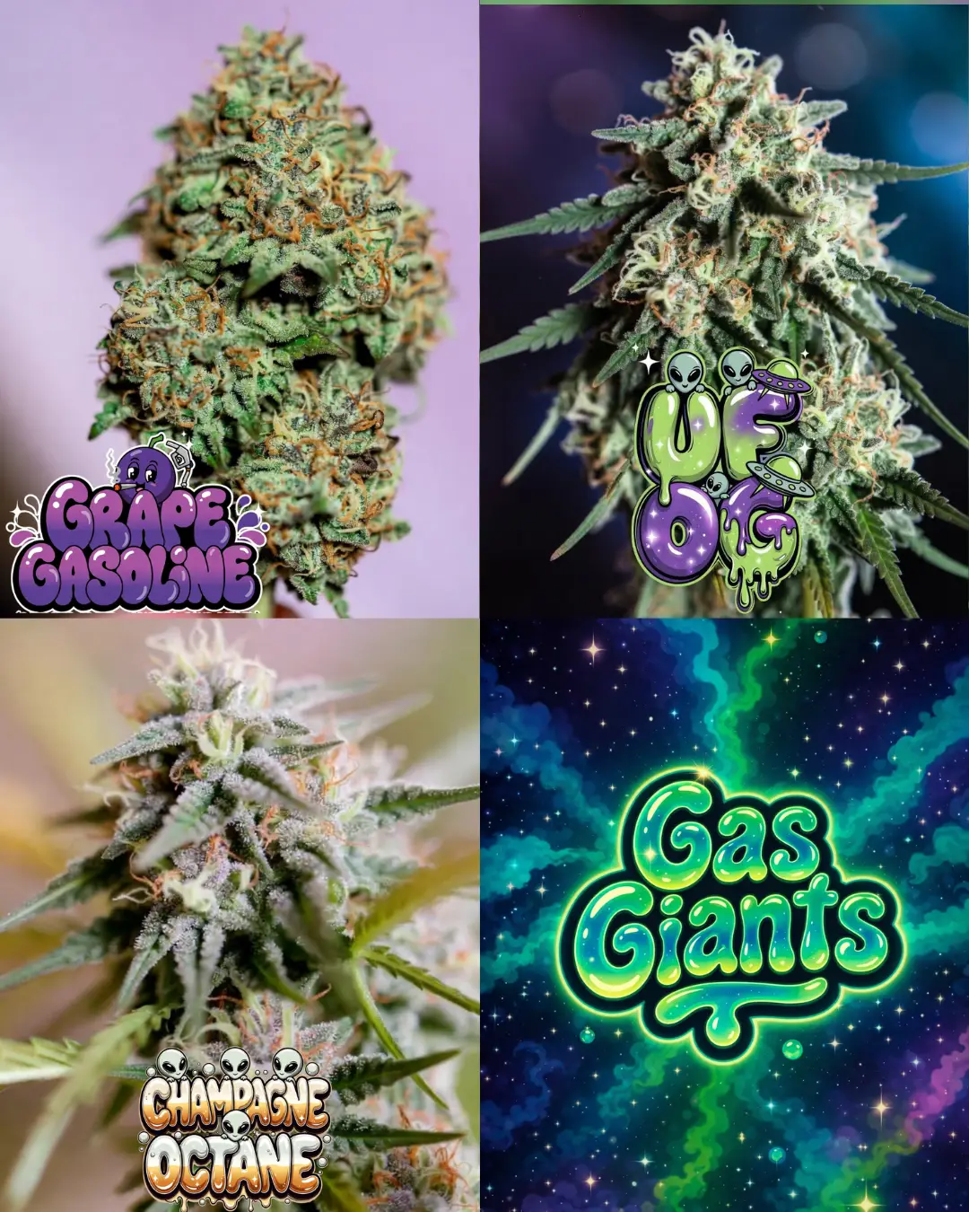 Gas Giants Bundle Cannabis Seeds by Supernatural Seeds