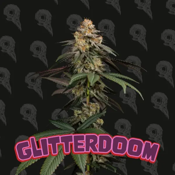 Glitterdoom Cannabis Seeds by Dirty Bird Genetics